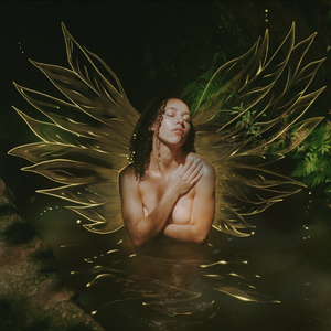 Wings of Light