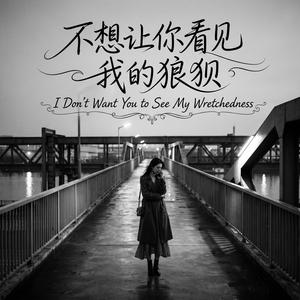 不想让你看见我的狼狈