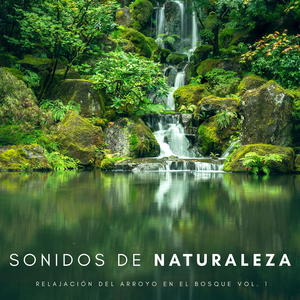 Río Bajo La Cascada