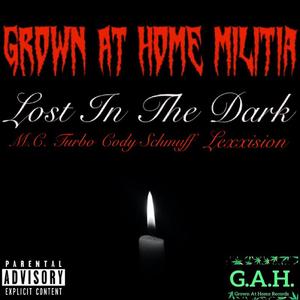 Lost In The Dark (feat. Lexxision & Cody Schmuff)