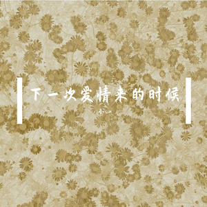 下一次爱情来的时候