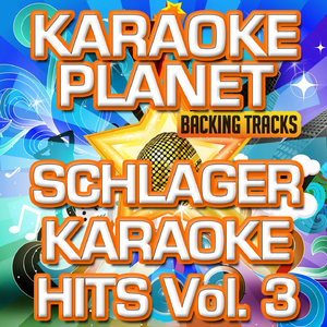 Die Männer (Karaoke Version)