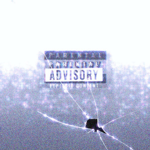 感觉(pr.trpleslatt)