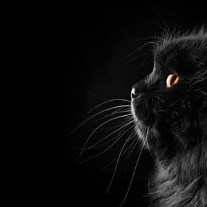 阴暗面（Prod by Mercy）