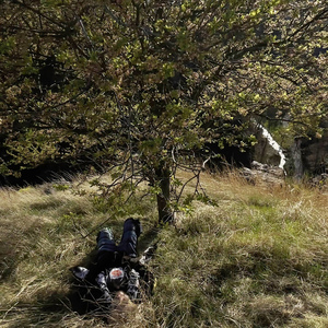 Сколько нам надо