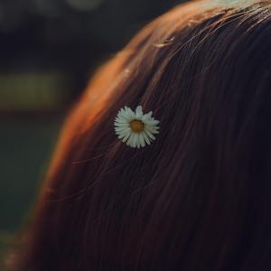 [FREE]"风的影"-emo boombap type beat