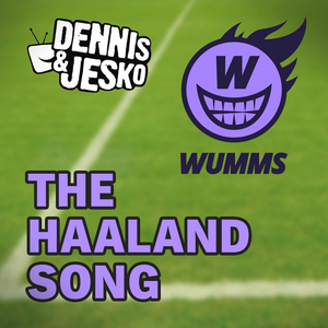 The Haaland Song