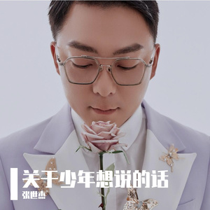 关于少年想说的话 伴奏