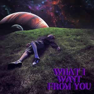 What I Want From You
