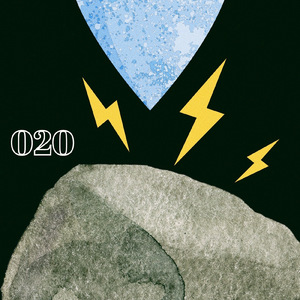 020