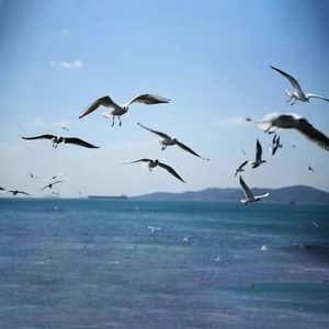 沈风开场序曲 V14