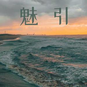 忘不掉的你（钢琴版）