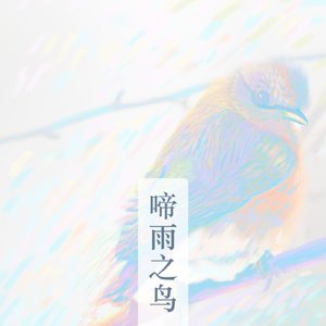 啼雨之鸟