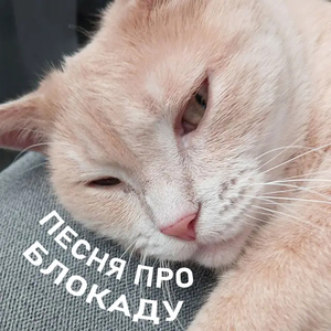 Песня Про Блокаду