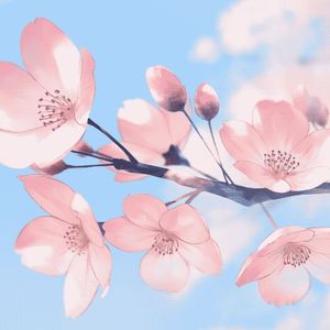 きみというはな