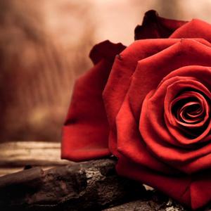 一点点（Prod. TOX4&SAUCEBOI）