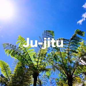 Ju-jitsu