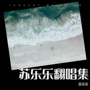 我不应该慢热着沉默假装冷漠一笑而过 (苏乐乐 remix)