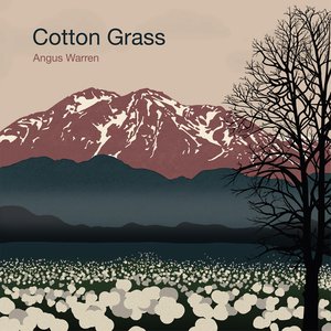 Cotton Grass