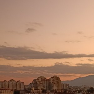 生命的意义