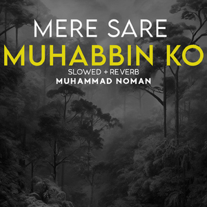 Mere Sare Muhabbin Ko Lofi