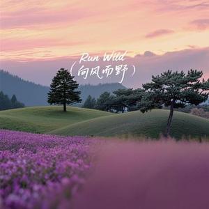 Run Wild（向风而野）（Cover 是晚星呀）