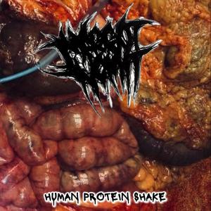 Human Protein Shake