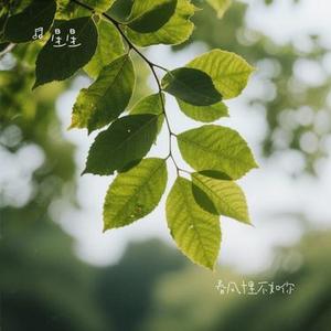 春风十里不如你