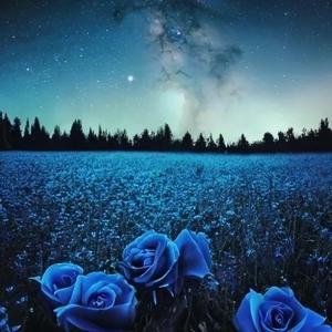 Jessi (Beyond The Blue)