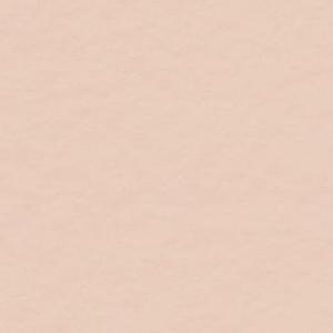 New One FREESTYLE（Prod by $tan）