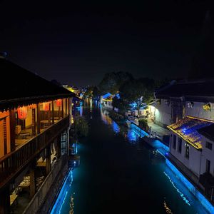《暗光根系》