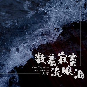数着寂寞流眼泪