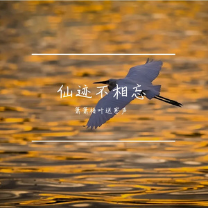 仙迹不相问