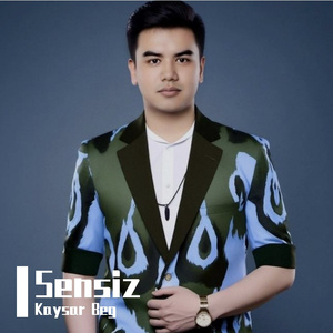 Sensiz