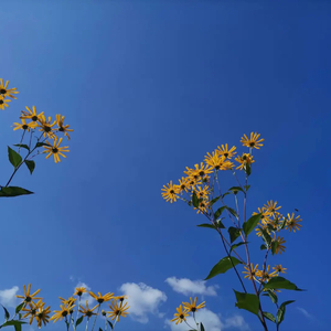 DJxiao hui-记事本 DJ （DJxiao hui remix）