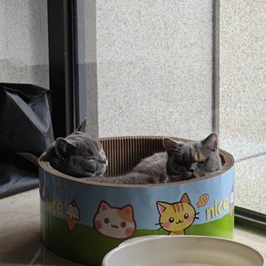 那年稚气未脱的脸颊