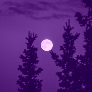 beneath the frozen earth