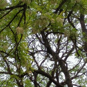 我没有勇气告诉你