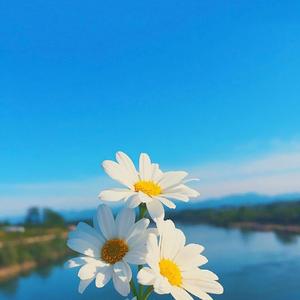 逆流成河