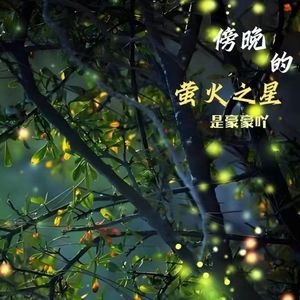 傍晚的萤火之星 伴奏