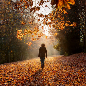 Still Air On Bare Skin