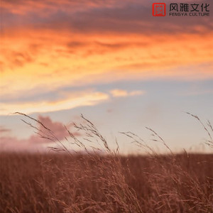 闭上眼睛 -古筝