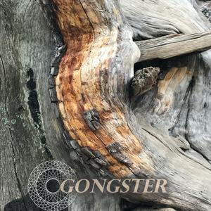 E8 (feat. Lisa Gongster & Francois Lalonde)