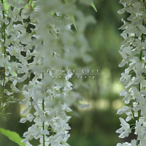 만남을 위한 준비 A Walk with J