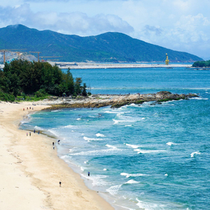 阿尔茨海默的爱