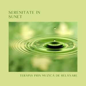 Valuri blânde de ocean