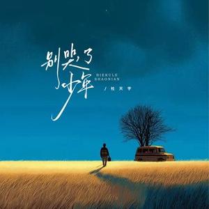 别哭了少年