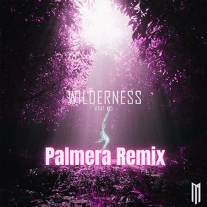 Wilderness (feat. KC) [Palmera Remix]
