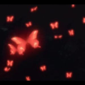 蝶-洛天依V4JPN（VOCALOID COVER）