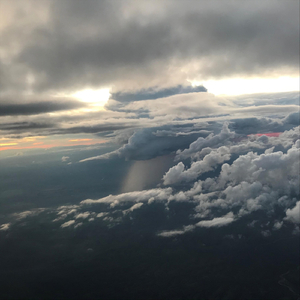 Pandemic Appassionata